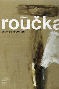 106119. Salsmann, Michel / Drury, Richard / Roučka, Adam – Pavel Roučka - oeuvres récentes