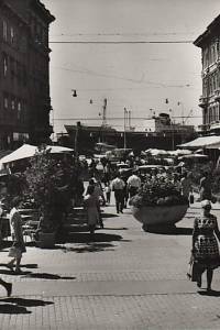 Němec, František / Pavić, Milan / Heckel, Vilém / Tunkl, Jiří – Země azurového moře, Jugoslávie - I. část