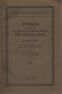 129538. Zpráva o činnosti vládneho referátu pre verejné práce za rok 1919.