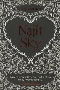 132637. Stirling, Joss – Najít Sky