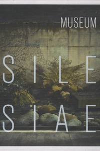 139730. Museum Silesiae