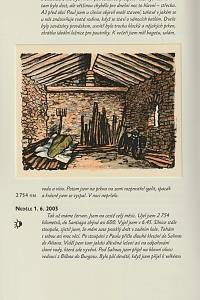 Bouda, Jiří – Cesta do Compostely : poutnický deník (Putování do Compostely)