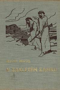 Musil, Alois – V zakletém zámku