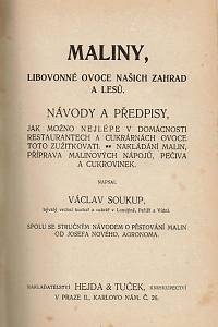 Novotný, Josef / Soukup, Václav / Nový, Josef / Benešová, Milada / Kašparová, Mařka – Výroba ovocných vín, [...] ; Maliny, Libovonné ovoce našich zahrad a lesů, [...] / Jahody, Prvé ovoce našich trhů [...] / Naše jedlé houby, [...] / Nakládání, zavařování a používání všeho ovoce i zeleniny, [...]