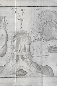 Heister, Laurent – D. Laurentii Heisters, [...] Compendium Anatomicum : das ist Kurzer Begriff ...