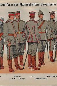 Die graue Felduniform der Deutschen Armee : mit zwanzig Tafeln Abbildungen in lithographischen Farbendruch und erläuterndem Text