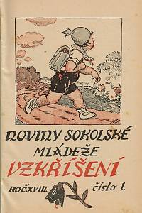 160548. Vzkříšení : noviny sokolské mládeže, Ročník XVIII.-XX. (1932-1934)