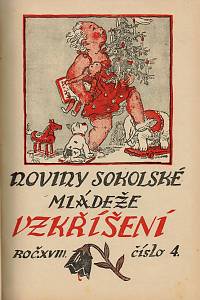 Vzkříšení : noviny sokolské mládeže, Ročník XVIII.-XX. (1932-1934)