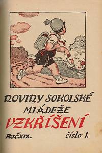 Vzkříšení : noviny sokolské mládeže, Ročník XVIII.-XX. (1932-1934)