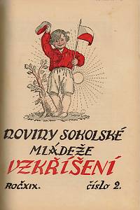 Vzkříšení : noviny sokolské mládeže, Ročník XVIII.-XX. (1932-1934)