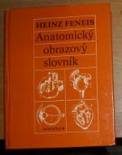 22929. Feneis, Heinz – Anatomický obrazový slovník